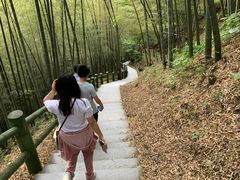 -藏龙百瀑风景区