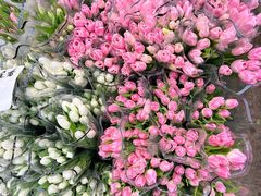 -循礼门鲜花花市(武汉循礼门店)