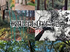 -芦仙山景区-飞越丛林探险乐园
