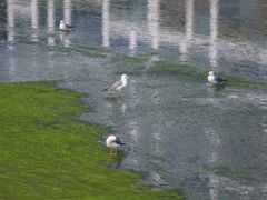 -马栏河运动公园
