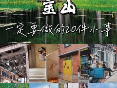 -顾村公园