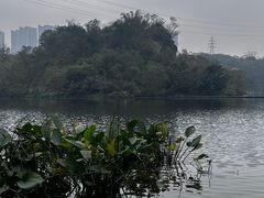 -重庆彩云湖湿地公园