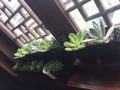 -渔堂公园餐厅·本帮菜(乐园路店)