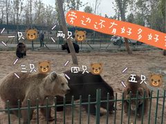 -秦皇岛野生动物园