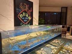 -常德武陵天济喜来登酒店-盛宴餐厅