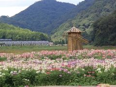 -广州市石门国家森林公园