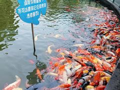-南昌动物园
