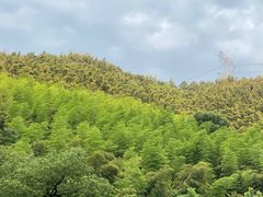 -东明山森林公园