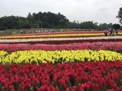 -保利石象湖景区