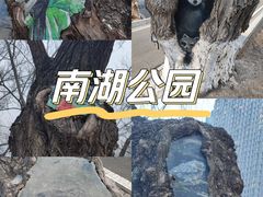 -沈阳南湖公园