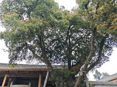 -北五省会馆