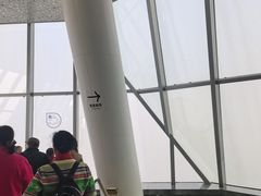 -WFC会仙楼观景台