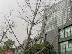 -浙江三立开元名都大酒店