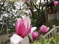 -乌山风景区