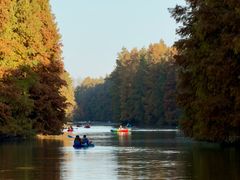 -上海海湾国家森林公园