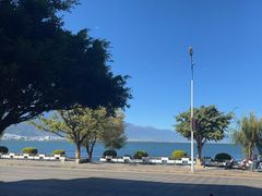 -野菌皇海景野生菌火锅(滨海大道店)