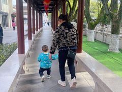 -安亭老街