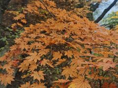 -五女山景区