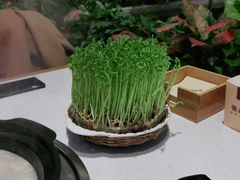 -好彩猪肚鸡(正弘城店)