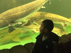 -多彩贵州城极地海洋世界