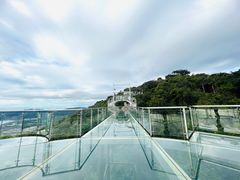 -亚龙湾热带天堂森林公园