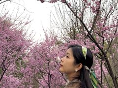 -重庆彩云湖湿地公园