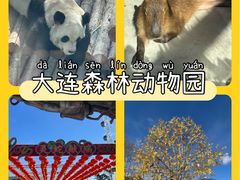 -大连森林动物园