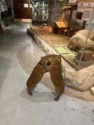 -Zoolung Zoolung动物主题公园(海信广场店)