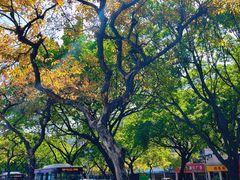 -佛山市图书馆(祖庙路分馆)