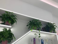 点击看大图 -蕾特恩专业祛痘·皮肤管理