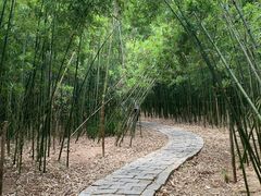 -同里国家湿地公园