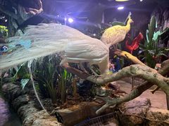 -正佳雨林生态植物园
