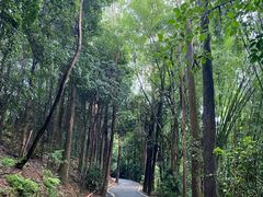 -滴水岩森林公园