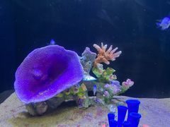 -欢乐海岸海洋奇梦馆