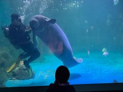 -烟台海昌鲸鲨海洋公园