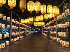 -珠海海泉湾神秘岛亲子乐园