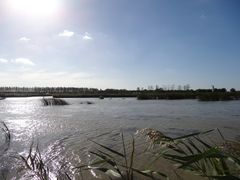 景点-盐城丹顶鹤湿地生态旅游区