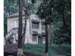-南岗山公园