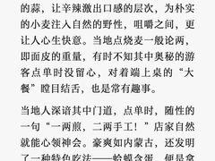 -白老大羊杂碎稍麦