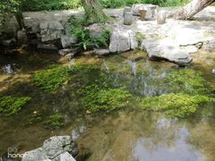 -百脉泉景区