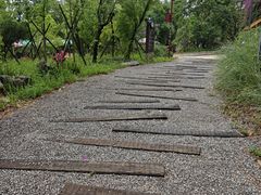 -普者黑风景区-青龙山