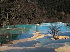 -黄龙山原始森林景区