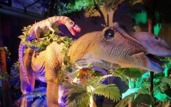 -恐龙探索乐园(磁器口店)