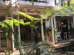 -Fern Forest Cafe