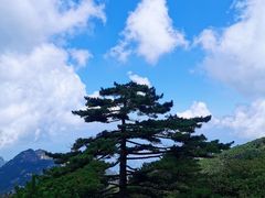 -黄山风景区