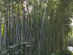 -苏州河梦清园环保主题公园