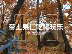 -北京鹫峰国家森林公园