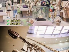 -陕西自然博物馆