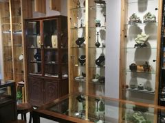 -灵龟之家百象馆(百象馆联合旗舰店)