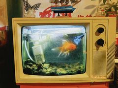 -永安里地摊烤肉(首创店)